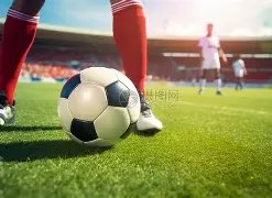 恒大新球场,荷花造型引,热议,JBO竞博,JBO竞博官网