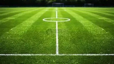 秦海璐搞笑回应霸总小说唤醒，向作者献计献策